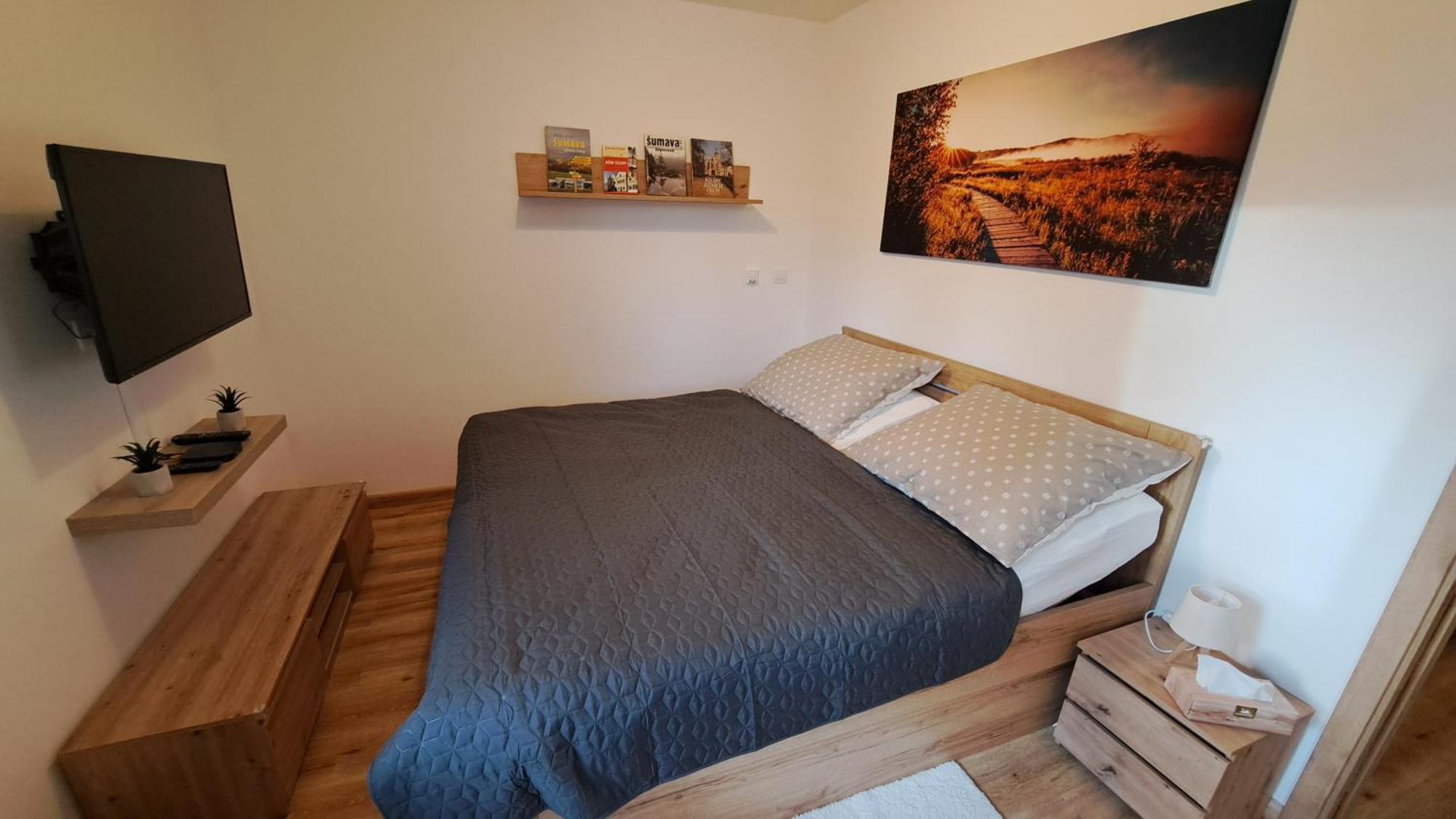 Apartmany - Male Lipno Černá v Pošumaví Zewnętrze zdjęcie