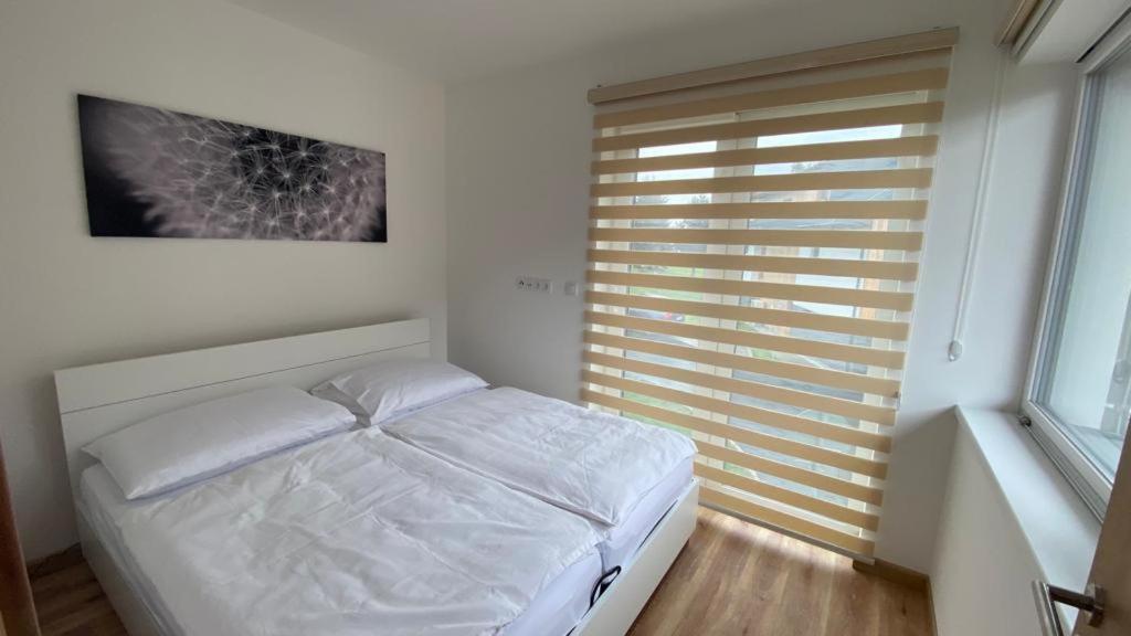 Apartmany - Male Lipno Černá v Pošumaví Zewnętrze zdjęcie