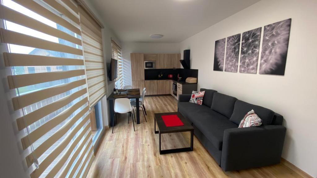 Apartmany - Male Lipno Černá v Pošumaví Zewnętrze zdjęcie